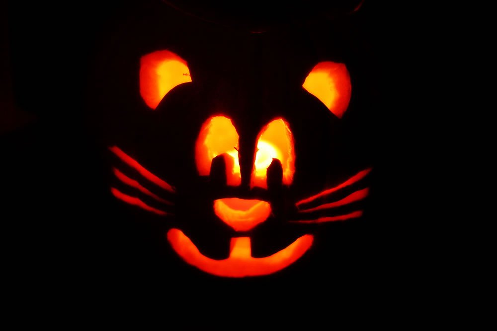 A carved pumpkin with a cat face design lit from within by an orange glow. The image shows the face in various close-up angles against a dark background.