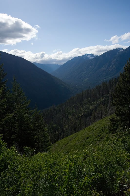 A narrow, winding path surrounded by towering rock walls adorned with patches of green moss.
