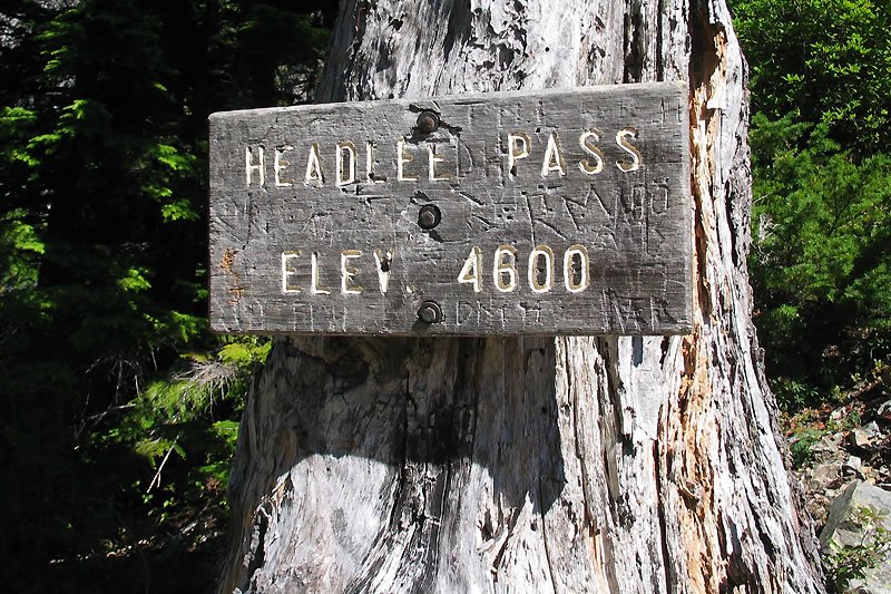 A rustic wooden sign reading 'HEADLEE PASS ELEV. 4600' is mounted on a weathered tree trunk, surrounded by dense green forest. The sign’s faded letters hint at years of exposure to the elements.