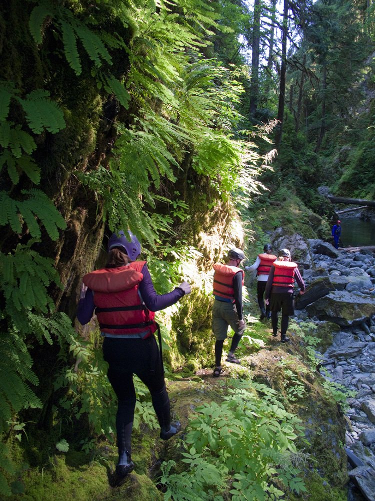 A group of hikers wearing red vests and leggings carefully walk along a moss-covered path surrounded by lush greenery and ferns.