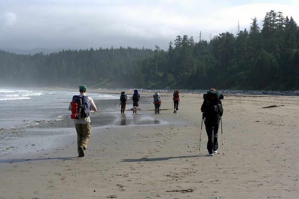 A group of hikers with backpacks walking along a sandy beach near the ocean with a forested backdrop.