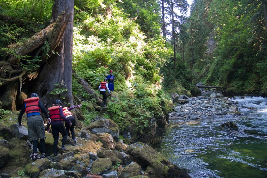 A group of hikers wearing life jackets carefully makes their way along a rocky trail beside a rushing river in a lush forest.