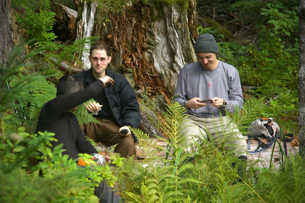 Two men sitting on a forest floor surrounded by green ferns.