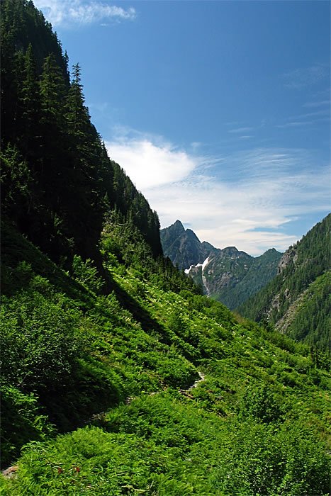 John and Kristie hike along a vibrant green trail surrounded by towering evergreen trees and rugged mountain peaks under a clear blue sky. Their adventure highlights the natural beauty of the Pacific Northwest wilderness.