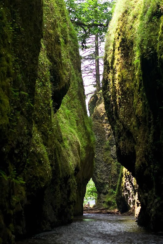 A couple hiking on a narrow trail surrounded by dense green foliage under a clear blue sky.