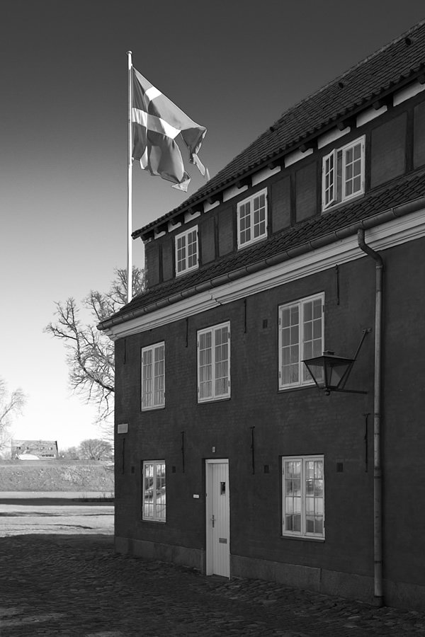 A black and white photo of a historic building with a flag flying atop. The architecture features multiple windows and a classic design.