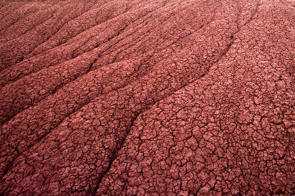 A detailed view of earth's surface showcasing intricate, cracked patterns in rich red soil.
