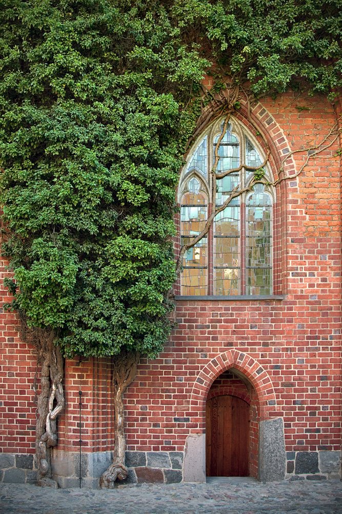 A charming brick church facade draped in lush green ivy, featuring a pointed-arch stained glass window and a wooden door framed by stone.