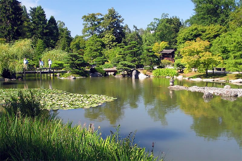 A tranquil pond surrounded by lush greenery and traditional wooden structures in a Japanese-style garden under a clear blue sky.