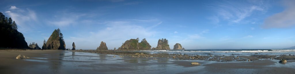 A stunning panoramic view of the Pacific Northwest coastline, featuring rocky cliffs and a sandy beach under a clear blue sky.
