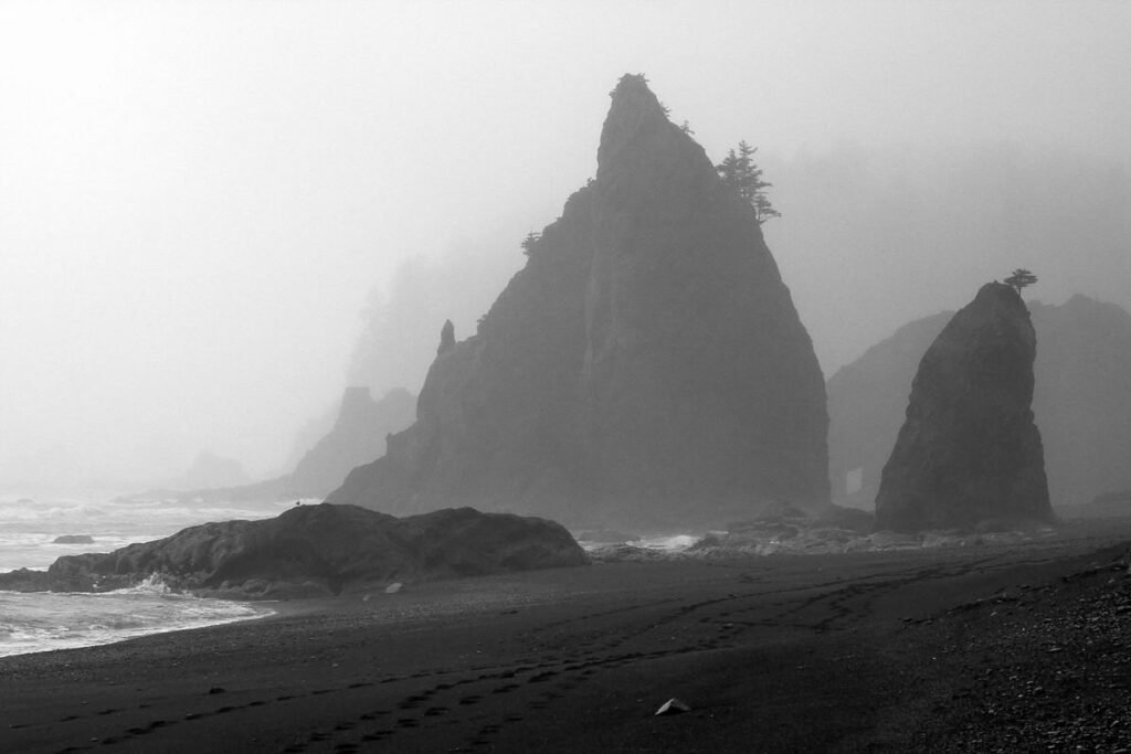 A foggy coastal scene featuring prominent sea stacks and a dark sandy beach in the Pacific Northwest.