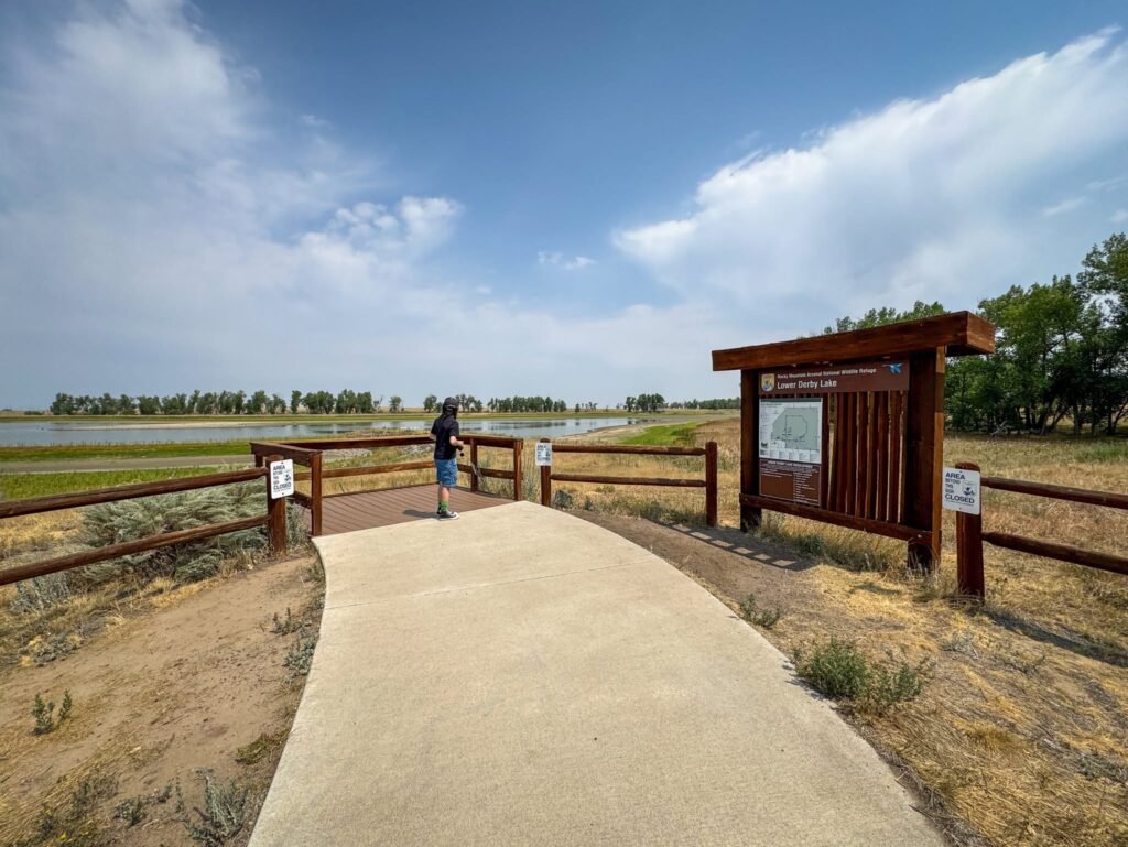 A paved walkway leads to a wooden viewing area near a wetland. A visitor stands at the end of the path with a view of the sky and water.