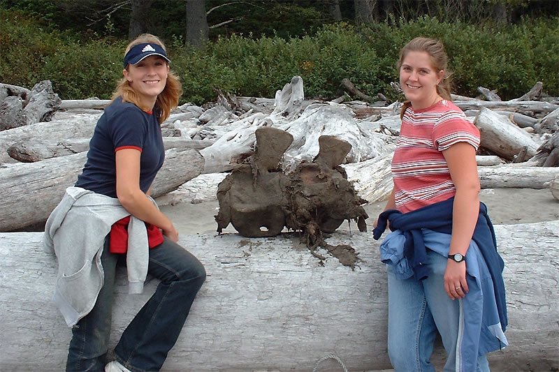 The image features the couple posing on a driftwood log at Ruby Beach. The Pacific Northwest scenery adds beauty to the photo.