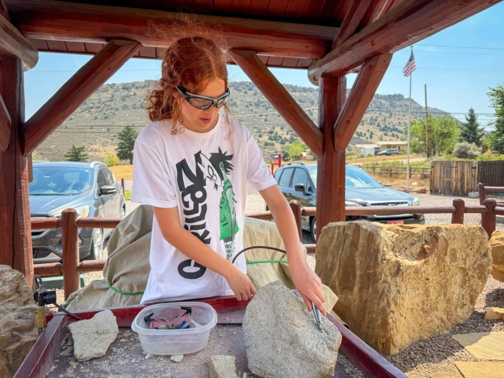 A person sorts rocks and plants for a garden project under a wooden pergola, surrounded by mountains and trees.