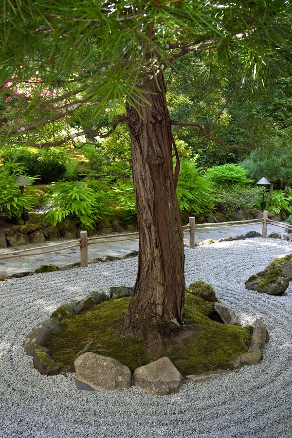 A serene Japanese zen garden featuring a central tree surrounded by raked gravel and rocks. Mossy stones and lush greenery enhance the tranquil atmosphere.