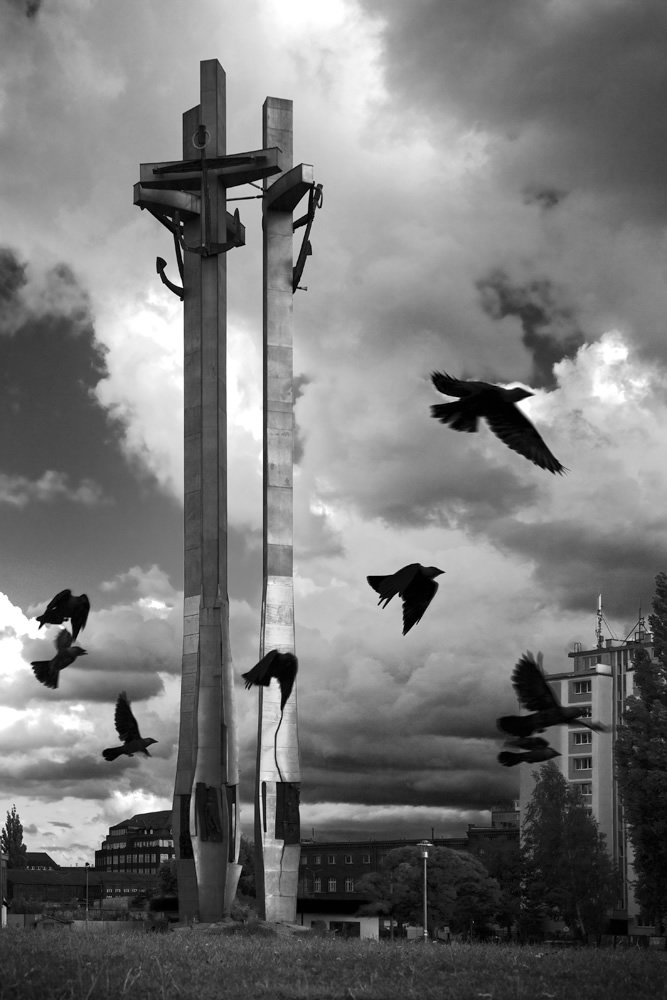 A group of seagulls flies around abstract wooden structures against a cloudy sky.