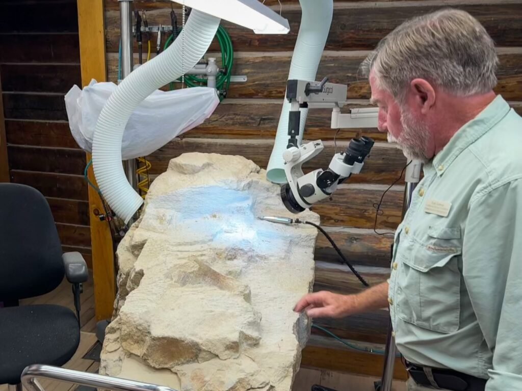 John is carefully using a microscope to examine a large rock sample containing fossils.