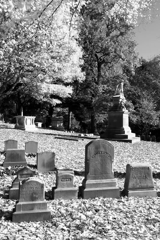 A black-and-white image of a cemetery with gravestones and trees. John and Kristie explore the serene landscape.