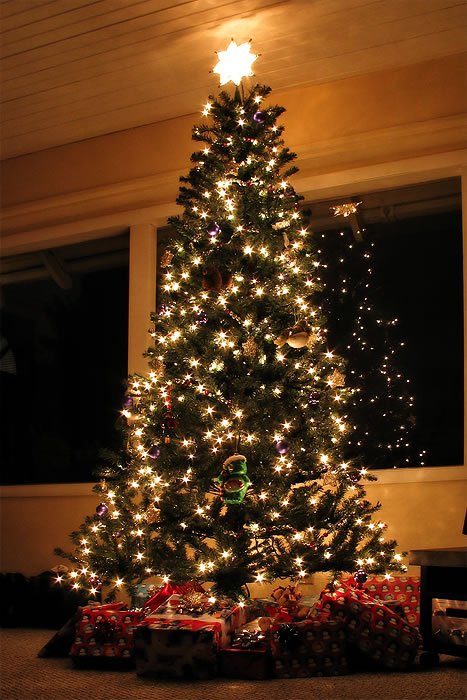A beautifully lit Christmas tree with presents underneath, set against a warm, indoor backdrop.