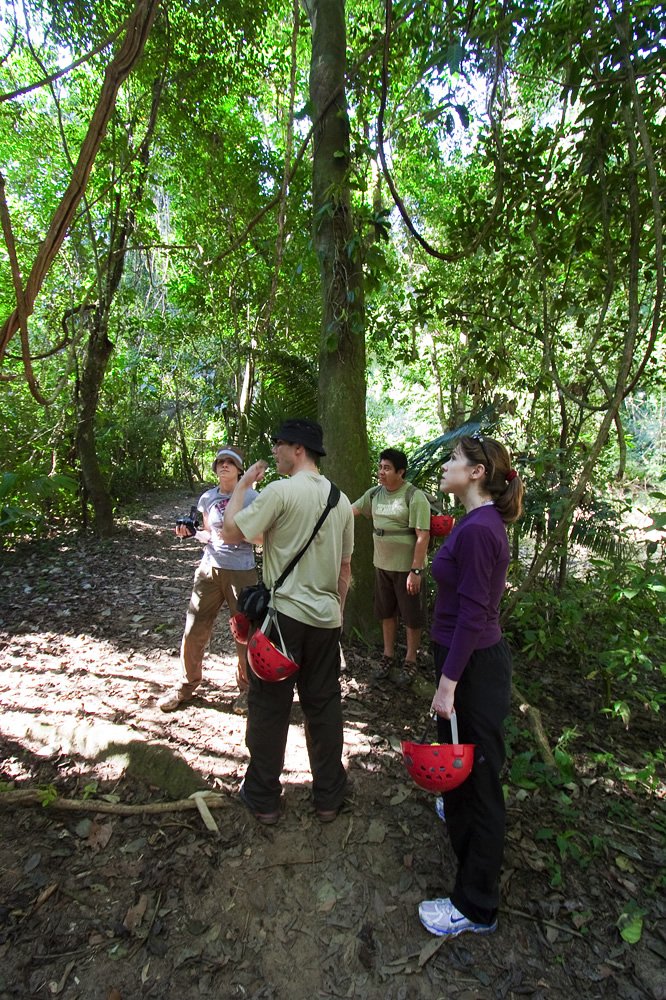 John and Kristie are walking through a lush forest, surrounded by tall trees and greenery.