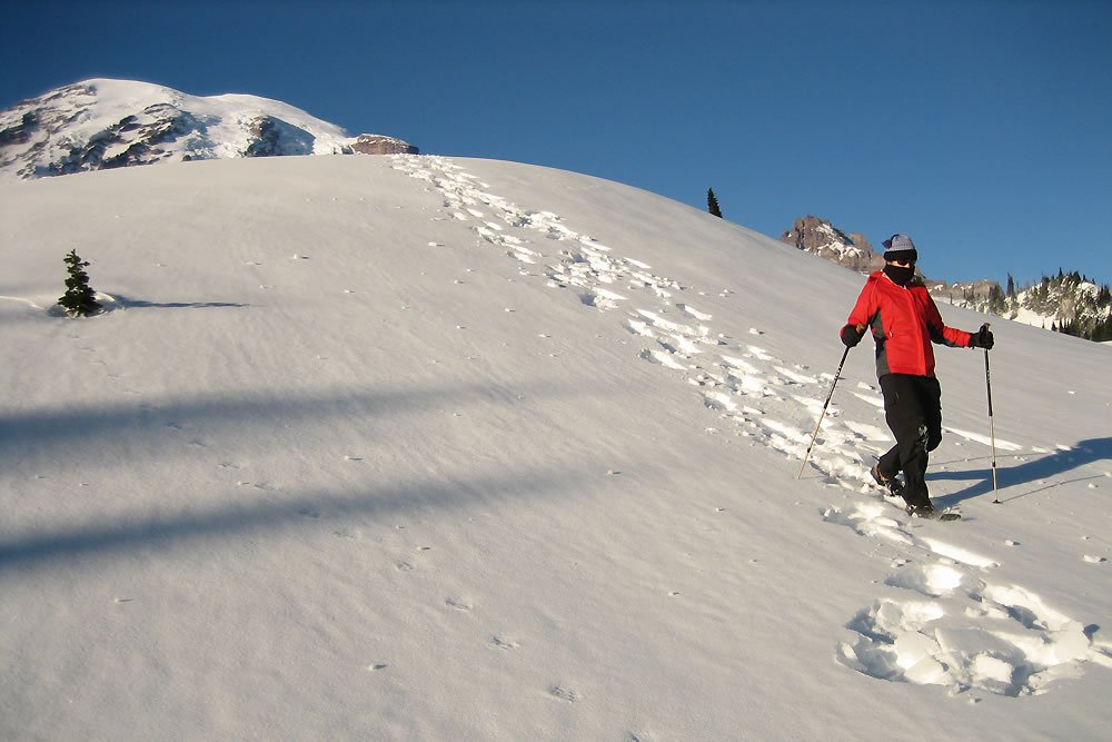 Person skiing down a powdery mountain slope under clear blue skies.