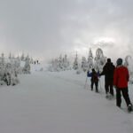 Lake 22 A group of people snowshoe along a snowy trail through a winter forest, with snow-laden trees on both sides under an overcast sky. The scene captures the serene beauty of a Pacific Northwest winter day as friends hike together.