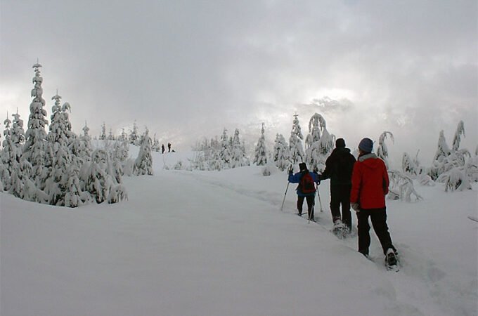 A group of people snowshoe along a snowy trail through a winter forest, with snow-laden trees on both sides under an overcast sky. The scene captures the serene beauty of a Pacific Northwest winter day as friends hike together.