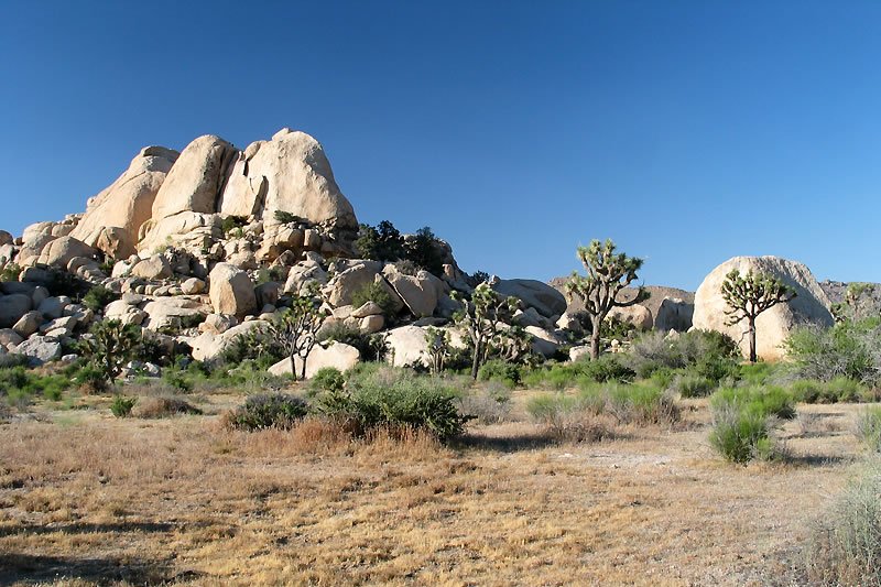 A stunning view of Joshua Tree National Park featuring large rock formations, sparse desert vegetation, and a brilliance sky