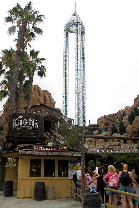 A group of people standing near the entrance of an amusement park ride, with a towering roller coaster in the background. Palm trees and themed structures surround the area.
