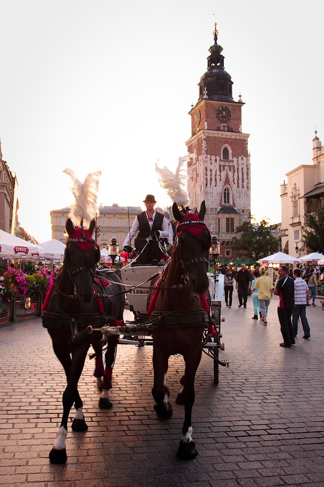 A horse-drawn carriage at the central square of Krakow, with St. Mary's Basilica in the background.