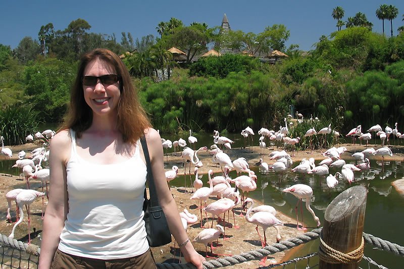 Kristie smiling in front of a flamingo exhibit with tropical trees in the background.