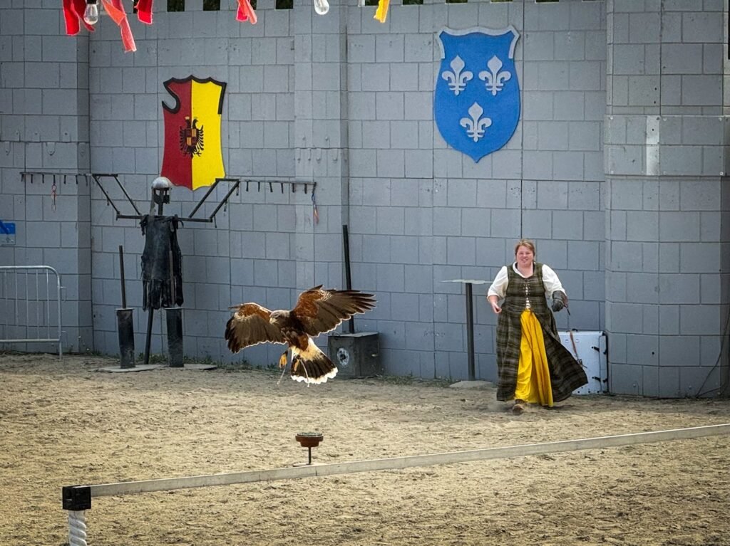 A woman performer watches as a raptor flies towards a perch in a medieval-style arena with castle walls and heraldic banners.