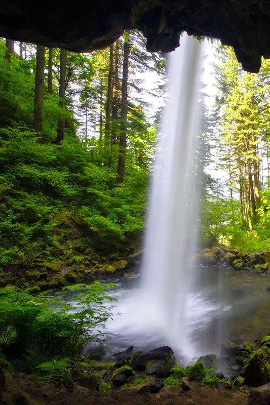 A powerful waterfall cascades through dense green forest. Surrounded by tall trees and vibrant foliage.