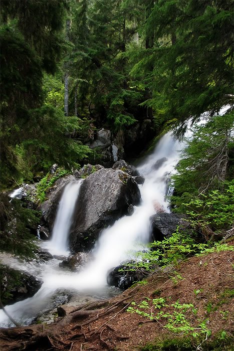 A serene waterfall cascades over rocks in a lush forest setting. The surrounding greenery enhances the tranquil beauty of the scene.