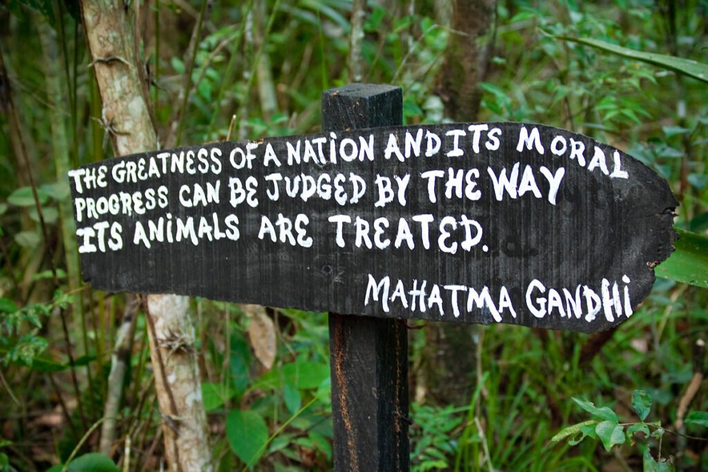 A wooden signpost displaying a Mahatma Gandhi quote about judging a nation by its treatment of animals, set against a lush green forest backdrop.