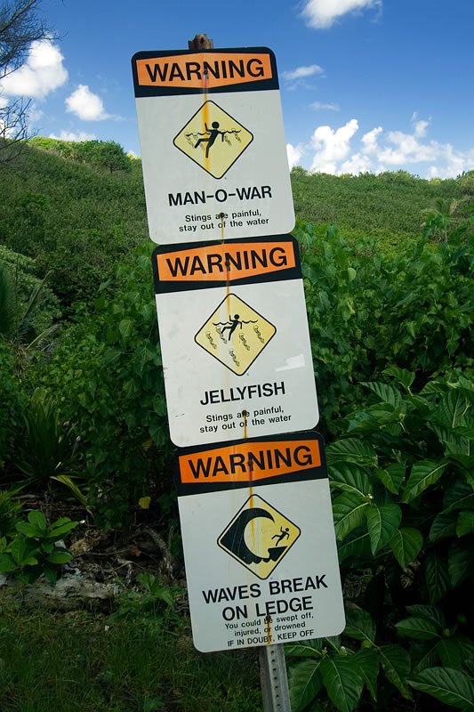 Three humorous warning signs about Man-O-War, Jellyfish, and Waves Breaking on Ledge against a lush green backdrop.