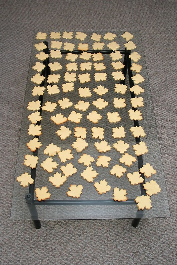 A collection of maple leaf-shaped cookies arranged neatly on a wire cooling rack, sitting on a gray carpeted floor.