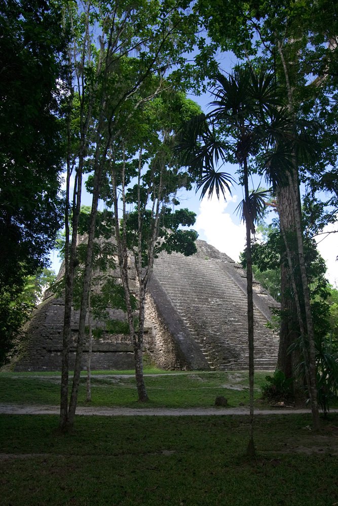 An ancient Mayan pyramid partially obscured by tropical trees, set in a serene outdoor environment.
