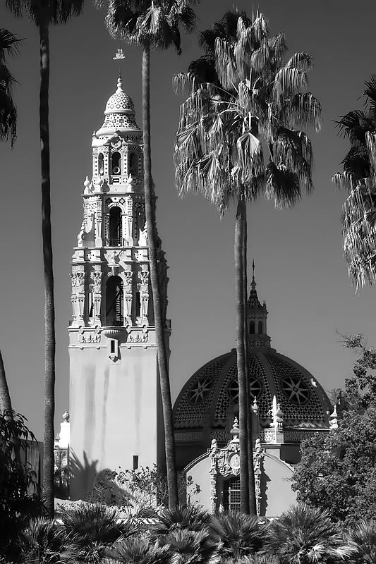 A black and white view of a mission-style bell tower and dome peeking through tall palm trees. The architecture contrasts with the natural landscape in a classic travel shot.