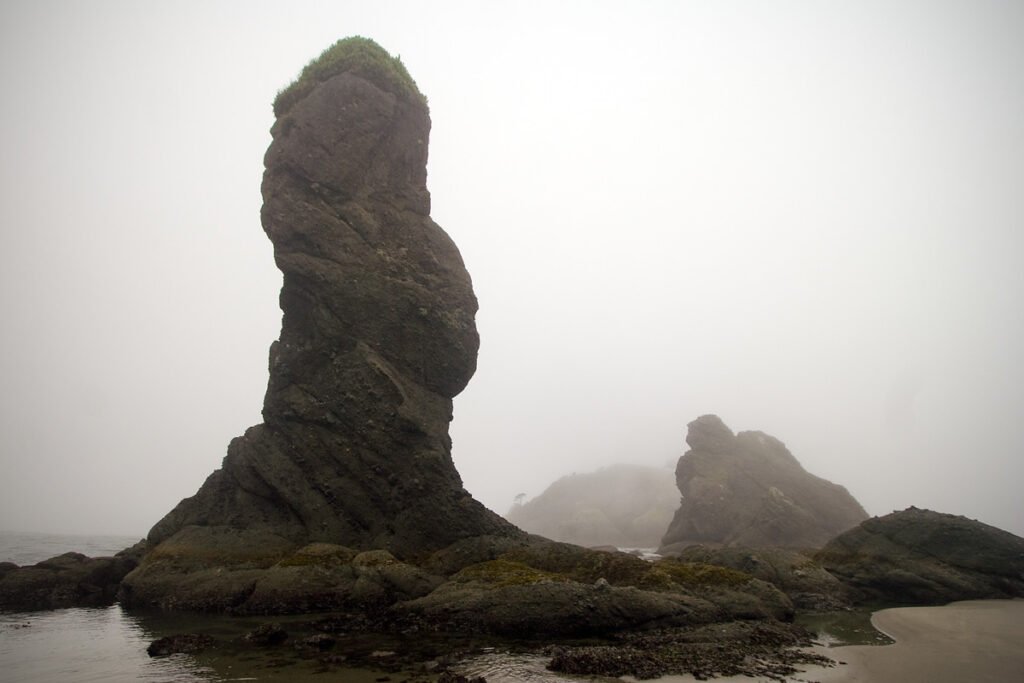 Large moss-covered rock formations rise dramatically from the water. A dense fog envelops the surrounding landscape, creating a mysterious atmosphere.