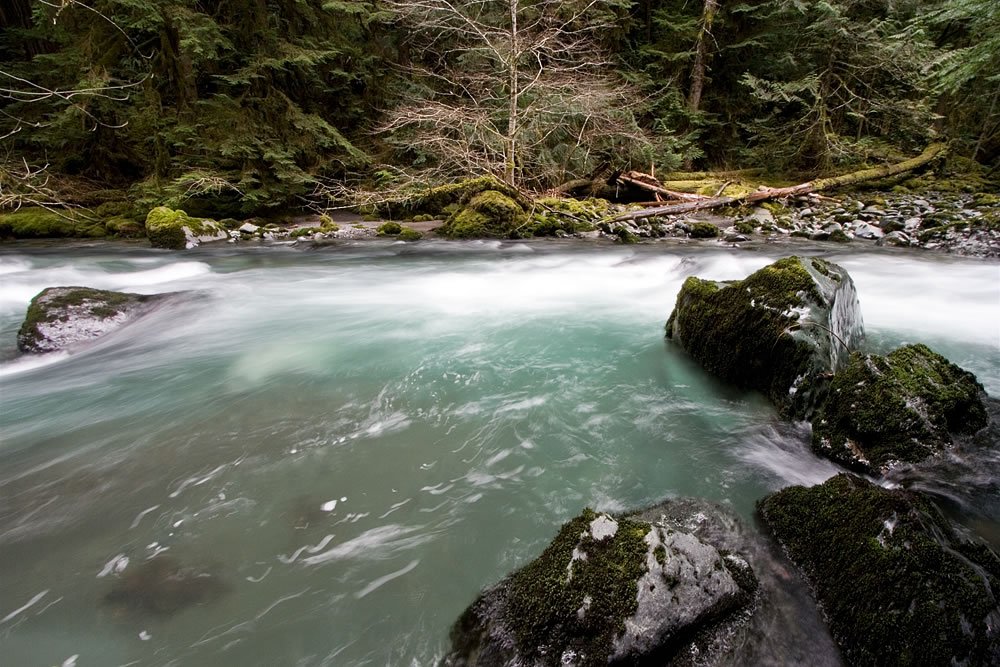 A serene, misty forest river with smooth, flowing water surrounded by moss-covered rocks. The background features dense trees, creating a tranquil and atmospheric scene.