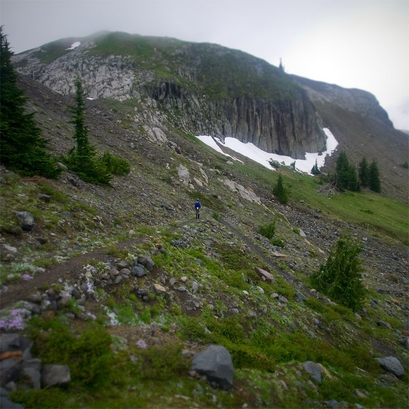 A hiker makes their way up a steep, rocky trail amidst lush greenery and lingering snow patches under an overcast sky.