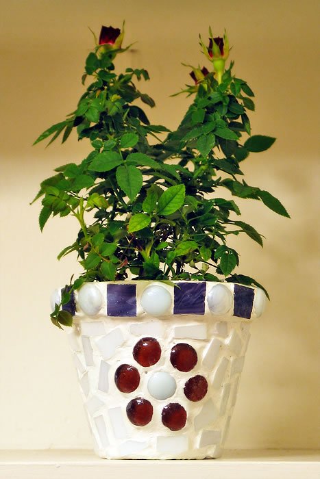 A potted plant with vibrant green leaves and budding flowers, housed in a decorative mosaic pot.