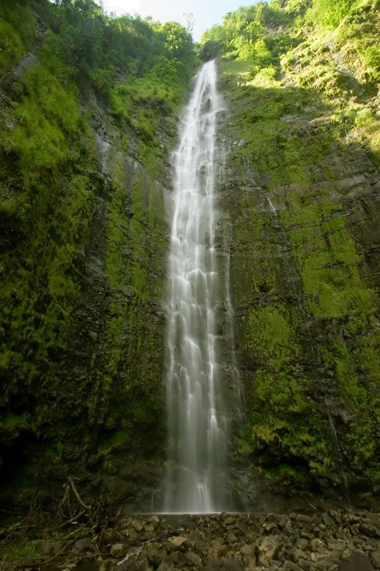 A stunning waterfall cascading down a moss-covered cliff, surrounded by vibrant green foliage.