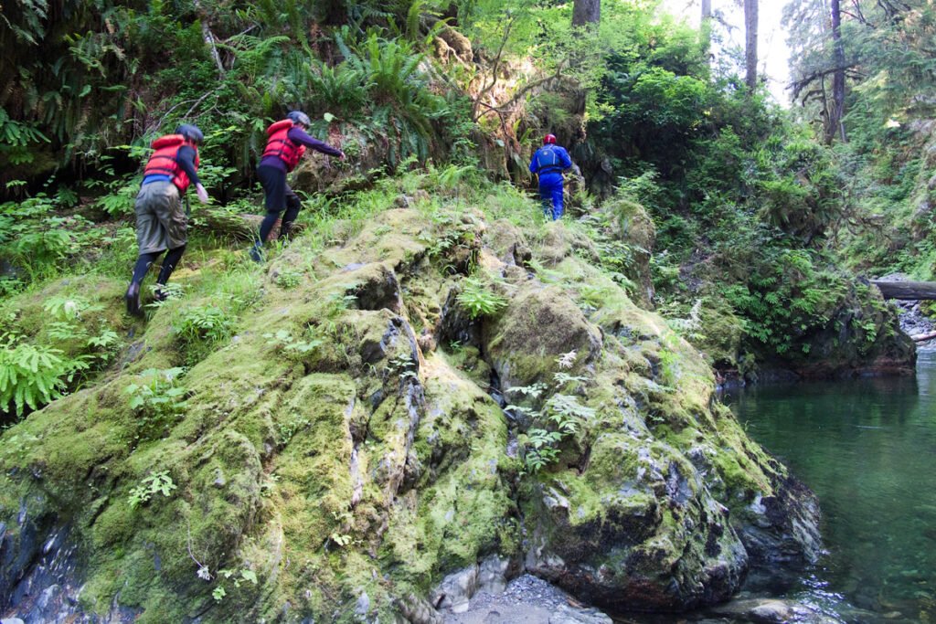 Three hikers carefully ascend a moss-covered rock formation near a serene waterfall. The lush greenery and tranquil setting offer a picturesque backdrop.