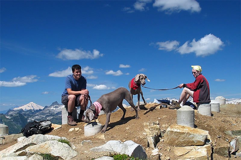 Two people and two dogs rest on a rocky mountain peak with scenic views in the background.