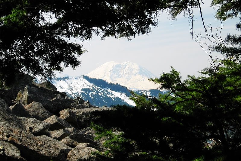 A snowy mountain peak visible through a frame of evergreen trees and rocky terrain on a clear day.
