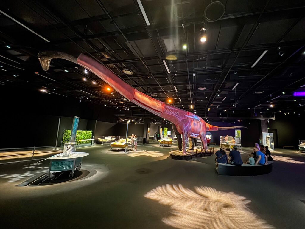 A brightly colored Brachiosaurus dinosaur exhibit inside a museum hall.