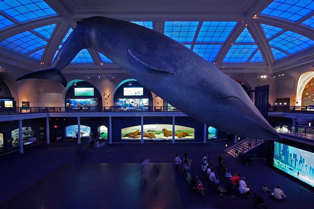 A spacious museum interior with a blue-tiled ceiling and multiple exhibit displays. Visitors are seen observing screens and aquariums.