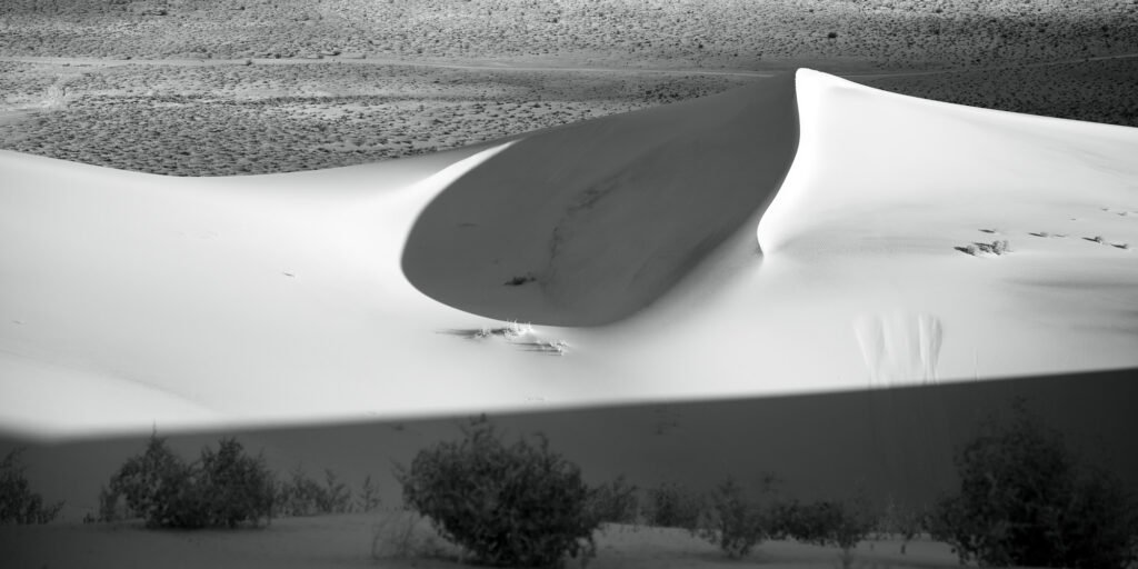 Black and white photograph of unique dune formations with surrounding vegetation.